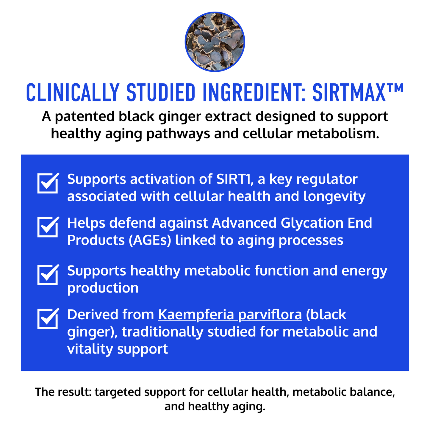 AGELESS DEFENSE™ | Longevity Capsules