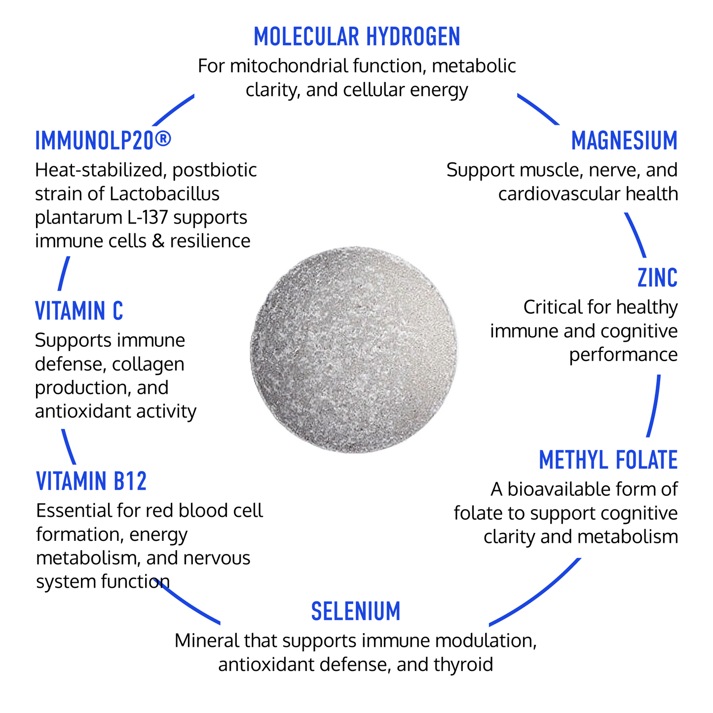 HARMONY+  | H2 Immune Postbiotics & Micronutrients