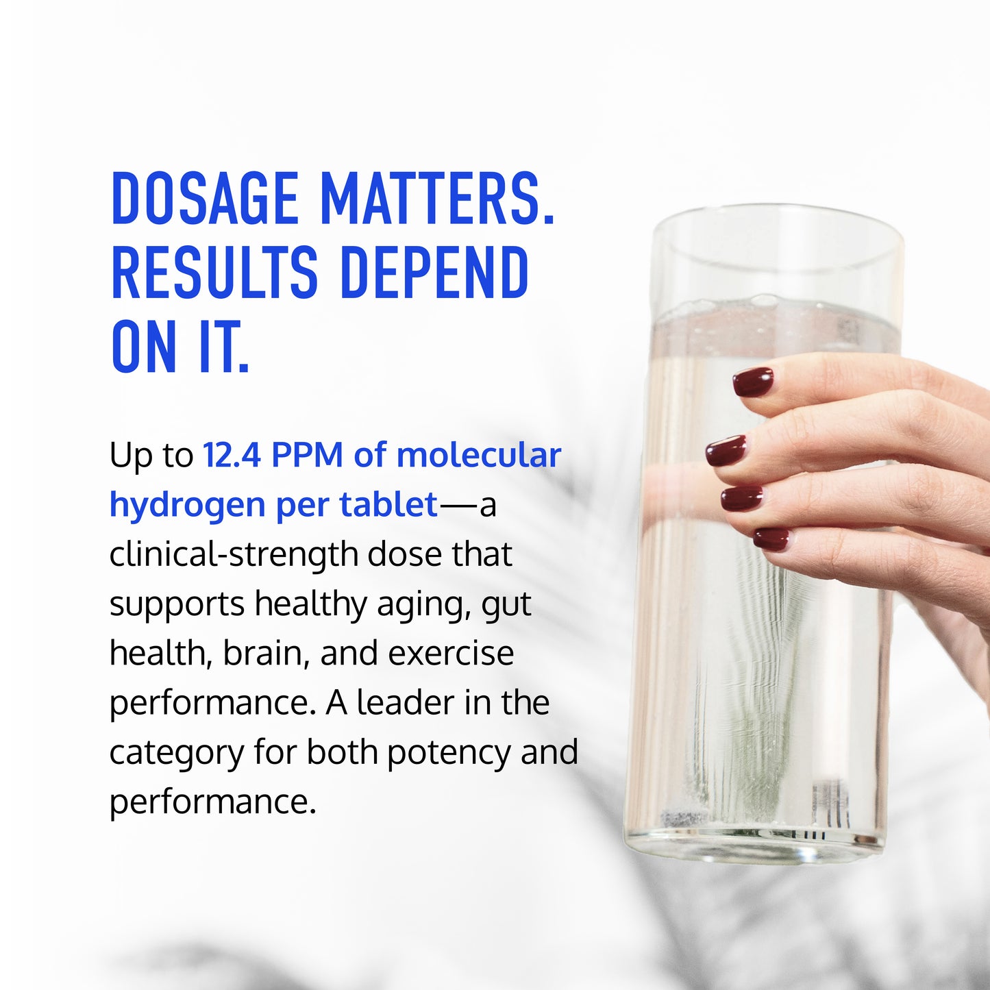 HARMONY+  | H2 Immune Postbiotics & Micronutrients