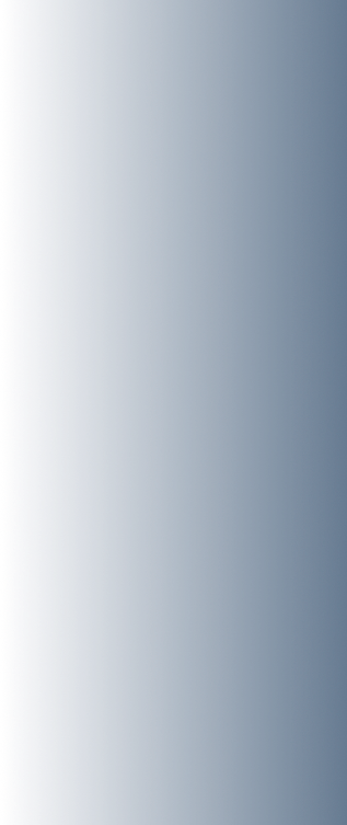 Background Decorative Image 2